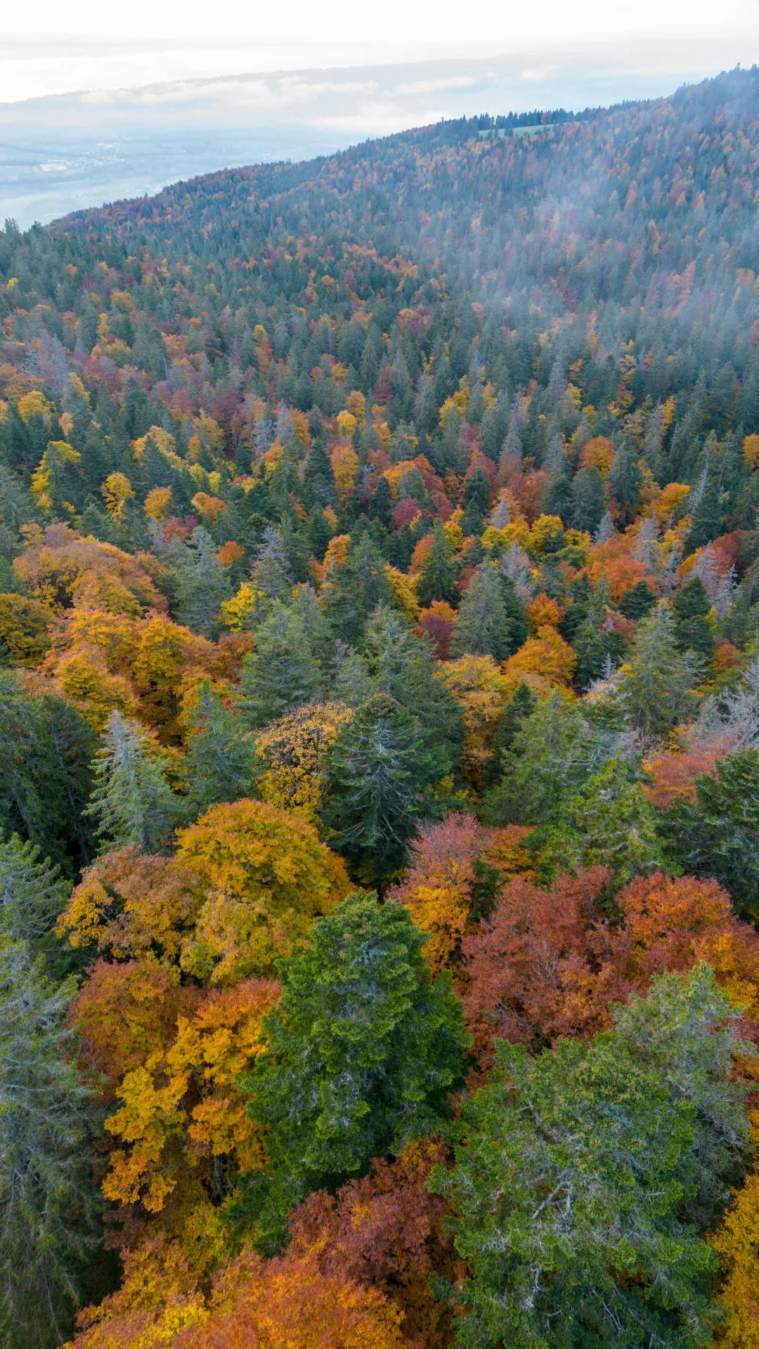 Massif du Jura